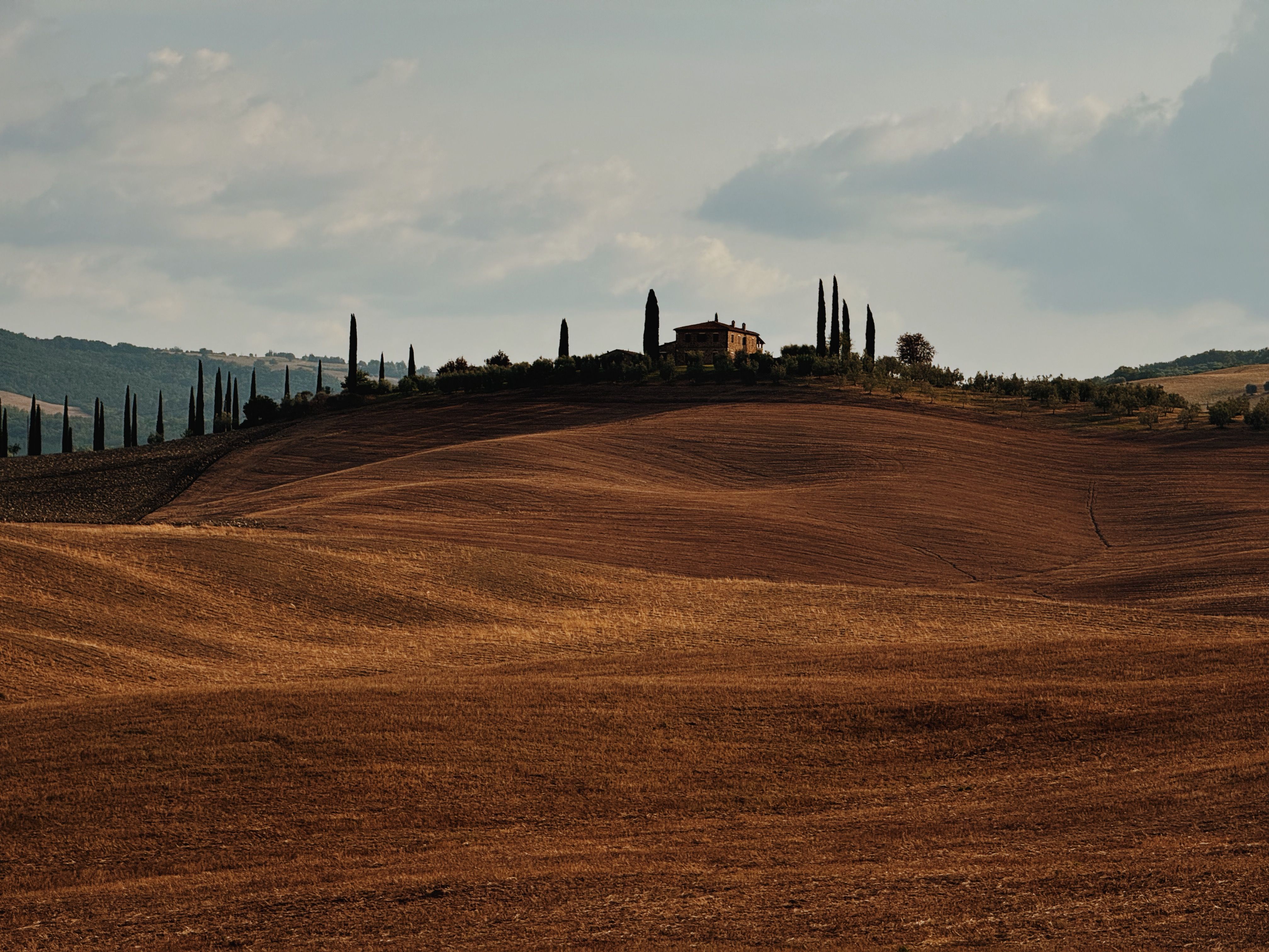 Maranello 8