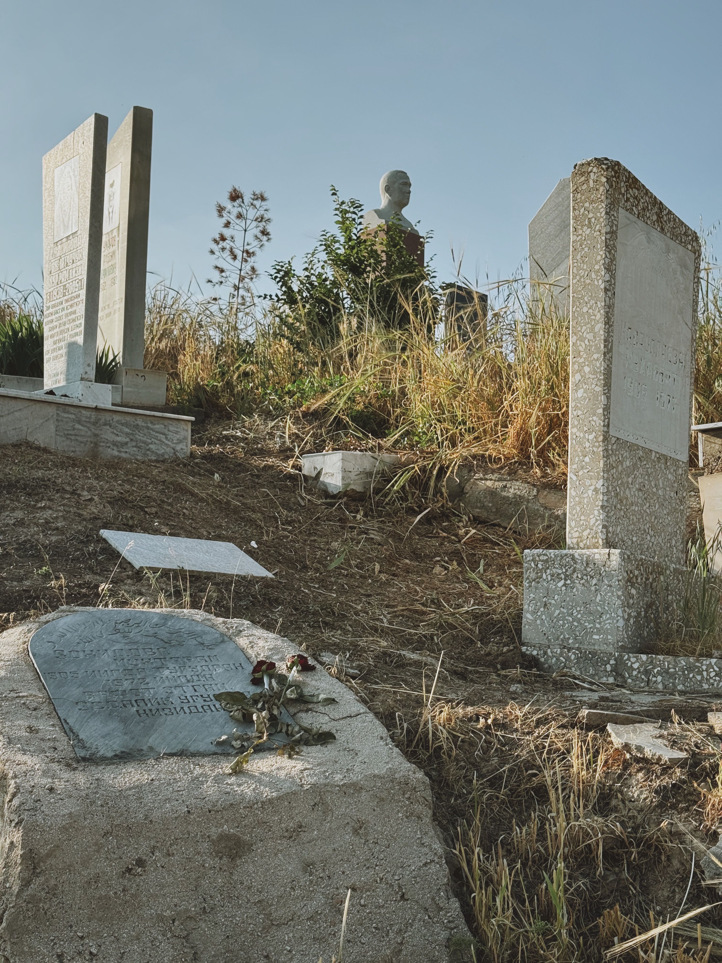 Tashkent 6