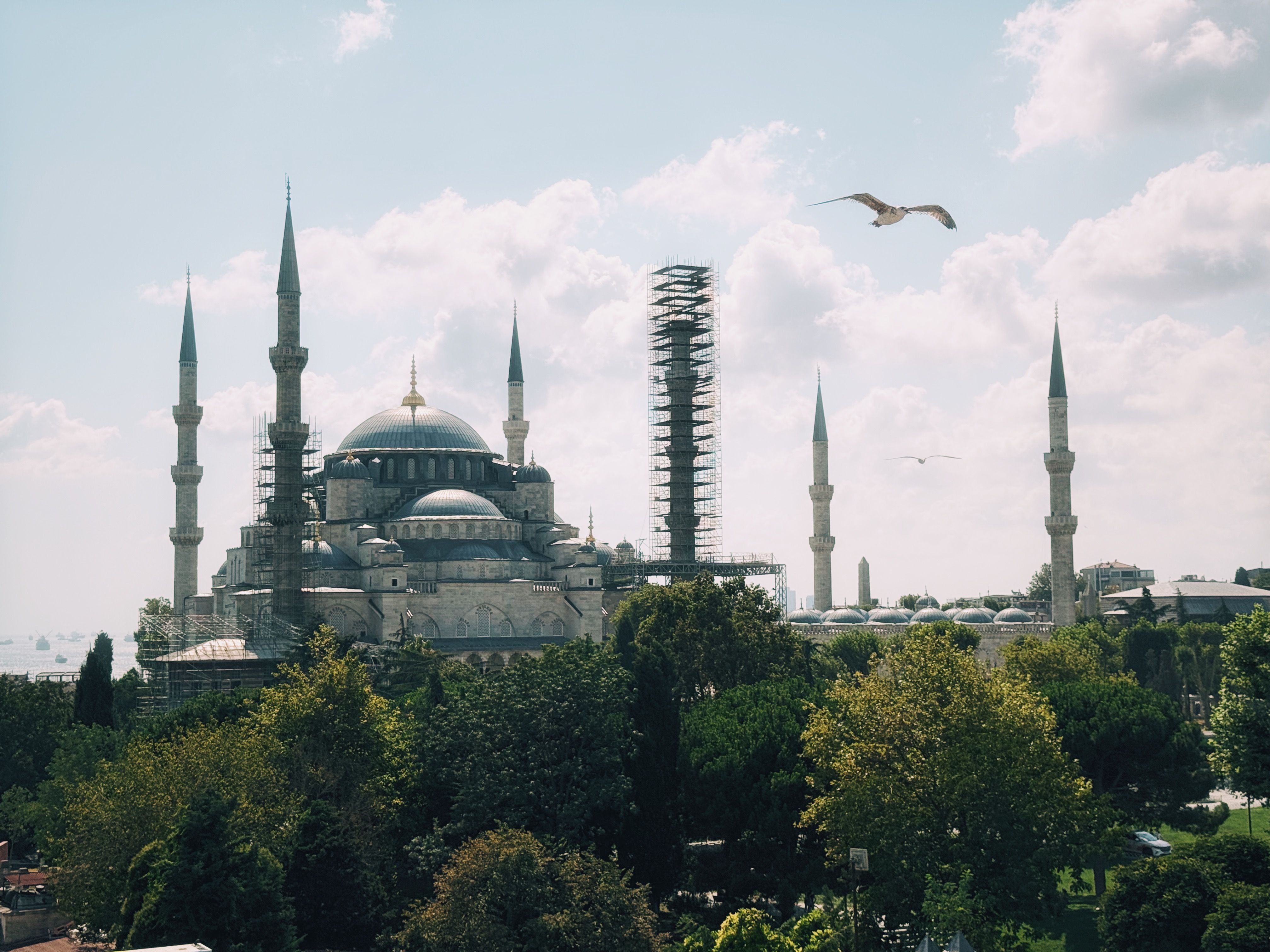 Samsun 5
